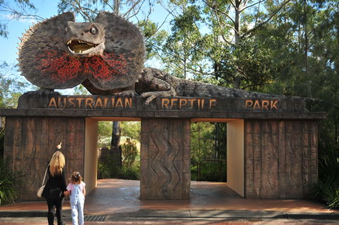 Australian Reptile Park - Accommodation Mermaid Beach 5