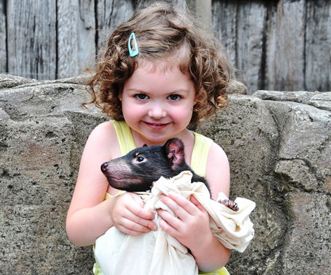 Australian Reptile Park - Accommodation Mermaid Beach 8
