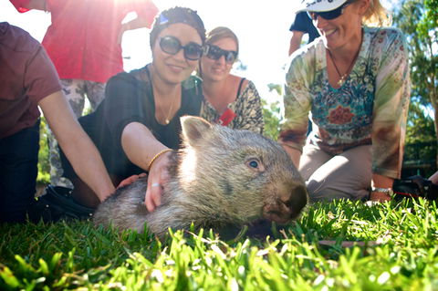 Australian Reptile Park - Accommodation Mermaid Beach 10