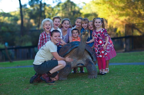 Australian Reptile Park - Accommodation Mermaid Beach 11