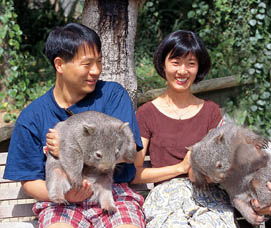 Birdland Animal Park - Accommodation Mermaid Beach 5