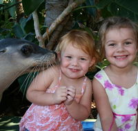 Dolphin Marine Magic - Accommodation Mermaid Beach