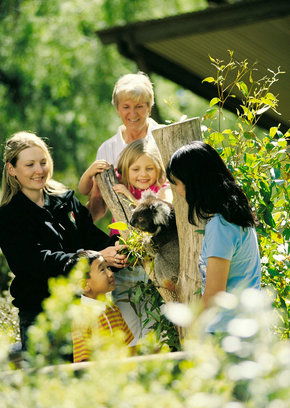 Cleland Wildlife Park - Accommodation Mermaid Beach 5