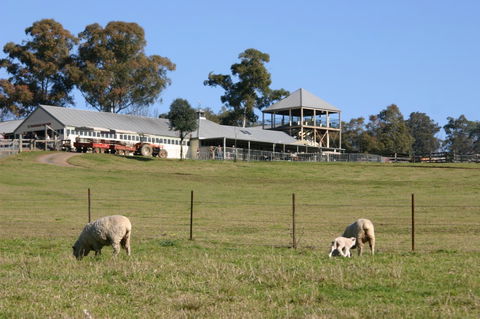 Calmsley Hill City Farm - Accommodation Mermaid Beach 3
