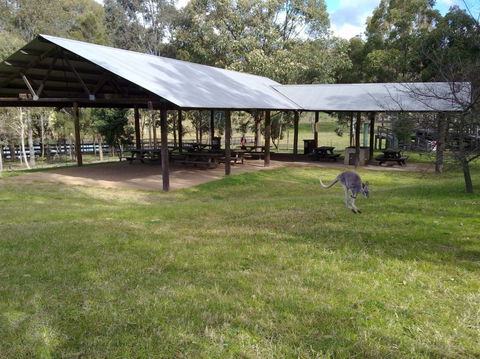 Calmsley Hill City Farm - Accommodation Mermaid Beach 5