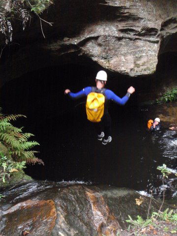 Blue Mountains Adventure Company - Accommodation Mermaid Beach 6