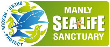 Manly SEA LIFE Sanctuary - Accommodation Mermaid Beach 0