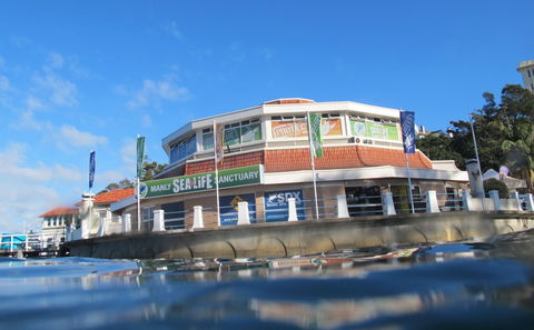 Manly SEA LIFE Sanctuary - Accommodation Mermaid Beach 2