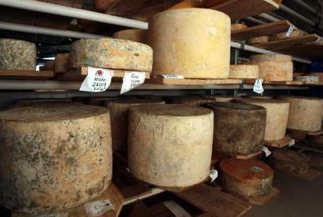 Witches Chase Cheese Co - Accommodation Mermaid Beach 3