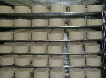 Witches Chase Cheese Co - Accommodation Mermaid Beach 5