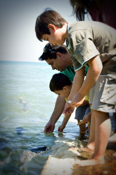 Aquascene Fish Feeding Sanctuary - Accommodation Mermaid Beach 3