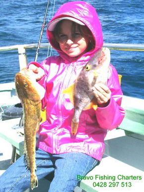 Bravo Fishing Charters - Accommodation Mermaid Beach 5