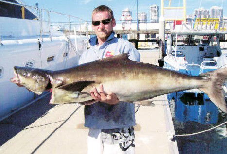 True Blue Fishing Charters - Accommodation Mermaid Beach 0