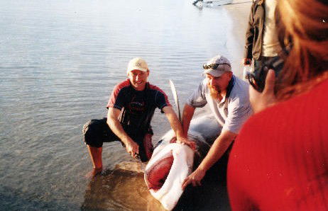 True Blue Fishing Charters - Accommodation Mermaid Beach 1