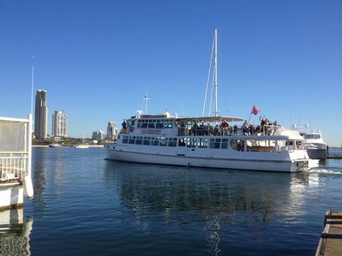 Brisbane Cruises - Accommodation Mermaid Beach 1