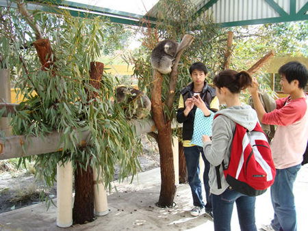 Caversham Wildlife Park - Accommodation Mermaid Beach 4