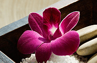 Blush Beauty Saloons - Accommodation Mermaid Beach 4