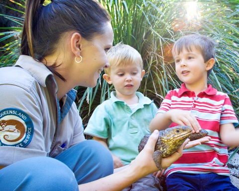 David Fleay Wildlife Park - Accommodation Mermaid Beach 3