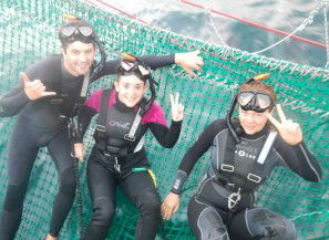 Dolphin Swim Australia - Accommodation Mermaid Beach 7