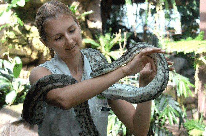 Cairns Wildlife Dome - Accommodation Mermaid Beach 2