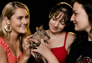 Cairns Night Zoo - Accommodation Mermaid Beach 1