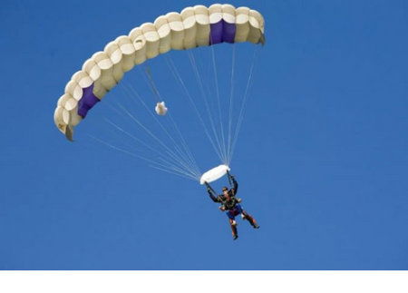 Commando Skydivers - Accommodation Mermaid Beach 4
