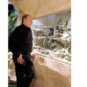 The National Opal Collection - Accommodation Mermaid Beach 5