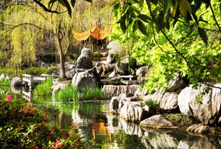Chinese Garden Of Friendship - Accommodation Mermaid Beach 3