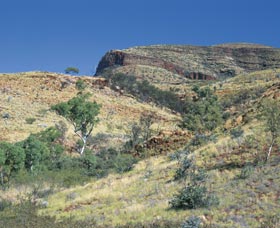 Mount Newman - Accommodation Mermaid Beach 0