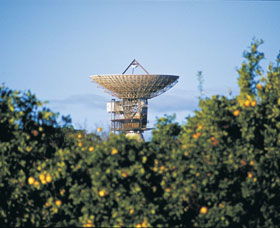 Big Dish - Accommodation Mermaid Beach 0