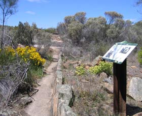 Christmas Rock Walk - Accommodation Mermaid Beach 0
