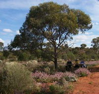 Karlkurla Bushland Park - Accommodation Mermaid Beach