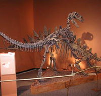 Denmark Dinosaur World - Accommodation Mermaid Beach