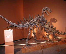 Denmark Dinosaur World - Accommodation Mermaid Beach 0