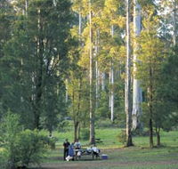 Big Brook Arboretum - Accommodation Mermaid Beach
