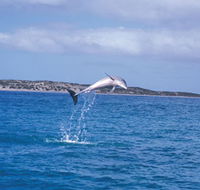 Steep Point - Accommodation Mermaid Beach