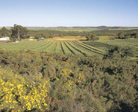 Chapman Valley Scenic Drive - Accommodation Mermaid Beach 0