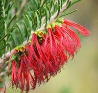 Ethel Daw Scenic Drive - Accommodation Mermaid Beach