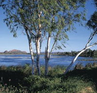 Celebrity Tree Park - Accommodation Mermaid Beach