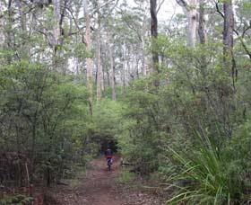 Margaret River Rails Trail - Accommodation Mermaid Beach 0