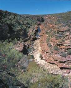 Ross Graham Lookout - Accommodation Mermaid Beach 0