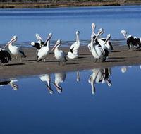 Peel Region Canoe Trails - Accommodation Mermaid Beach