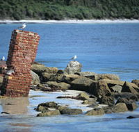 Whalers Beach - Accommodation Mermaid Beach