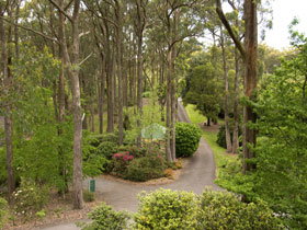 Mount Lofty Botanic Garden - Accommodation Mermaid Beach 0