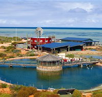 Ocean Park Aquarium - Accommodation Mermaid Beach
