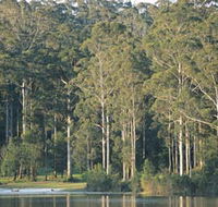 Big Brook Dam - Accommodation Mermaid Beach