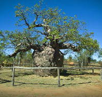 Pigeon Heritage Trail - Accommodation Mermaid Beach