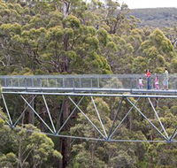 Walpole Wilderness Discovery Centre - Accommodation Mermaid Beach