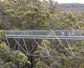 Walpole Wilderness Discovery Centre - Accommodation Mermaid Beach 0