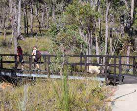 Forest Path, Crooked Brook - Accommodation Mermaid Beach 0